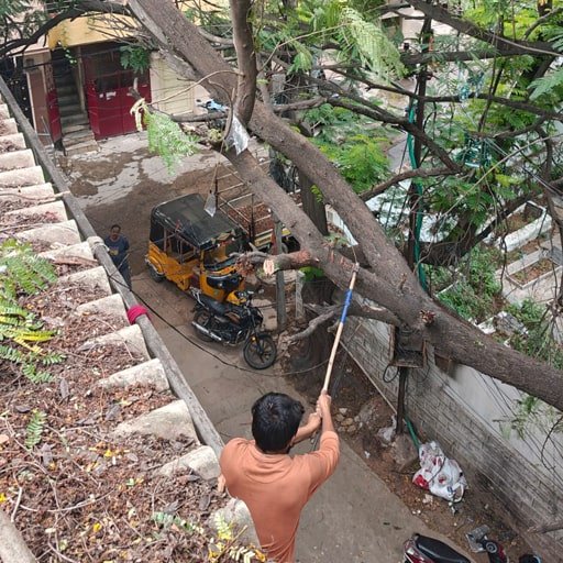 katamraj-Tree-Cutting-Services-Gallery17