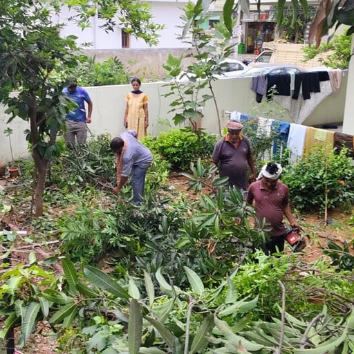 katamraj-Tree-Cutting-Services-Gallery24